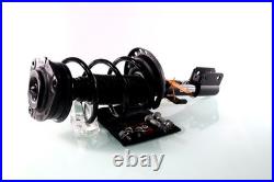 2x Jambe de Suspension Amortisseur Avant pour RENAULT CLIO III 2.0 16V SPORT