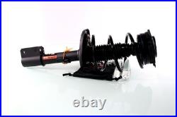 2x Jambe de Suspension Amortisseur Avant pour RENAULT CLIO III 2.0 16V SPORT